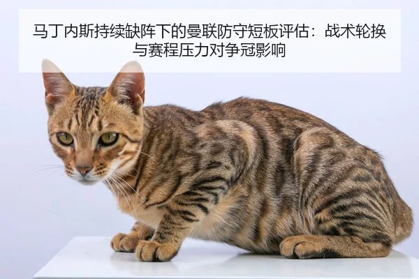 马丁内斯持续缺阵下的曼联防守短板评估：战术轮换与赛程压力对争冠影响